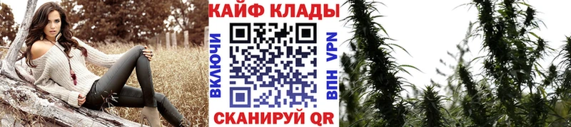 Купить наркотик аптеки Щёлково Cocaine Героин ГАШ кракен как зайти АМФ Меф