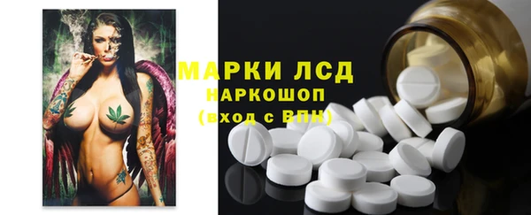 амф Инсар