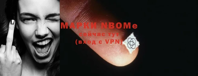 MDMA Premium VHQ Каменка