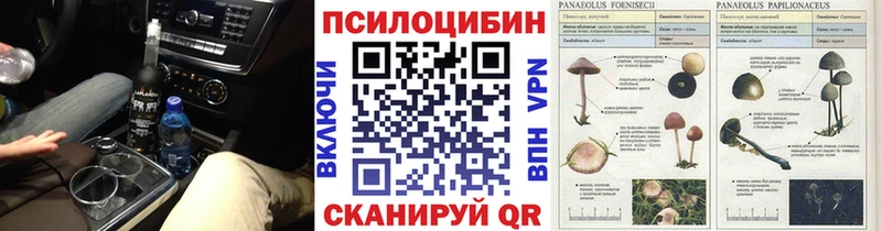 Псилоцибиновые грибы мицелий Щёлково